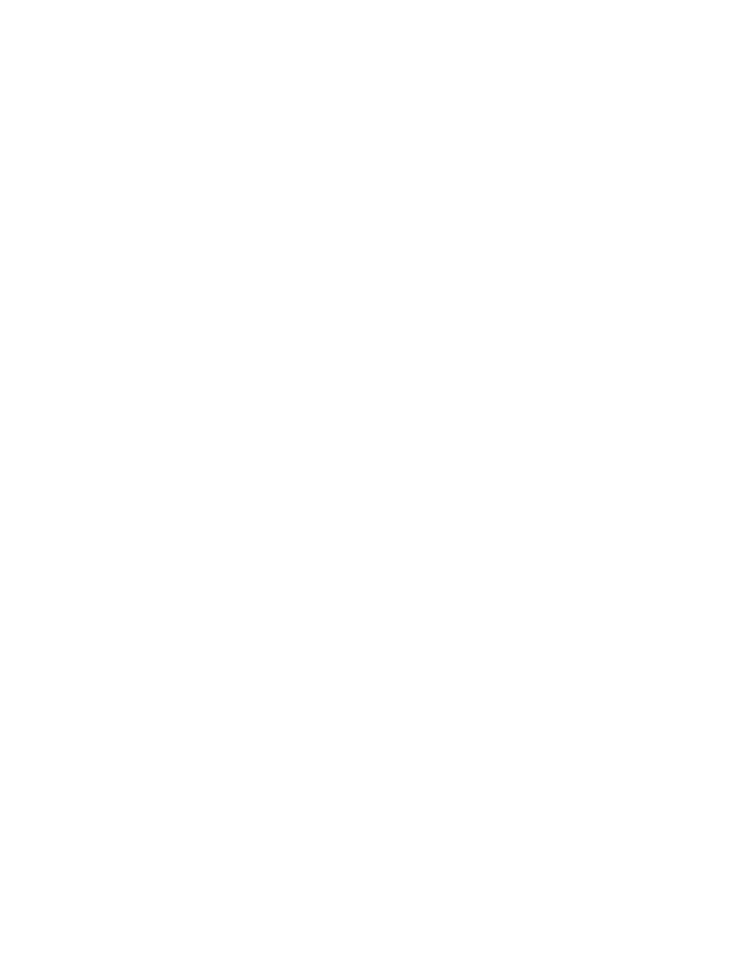 晴れの日をワンランク上の芸術性高い衣裳で。